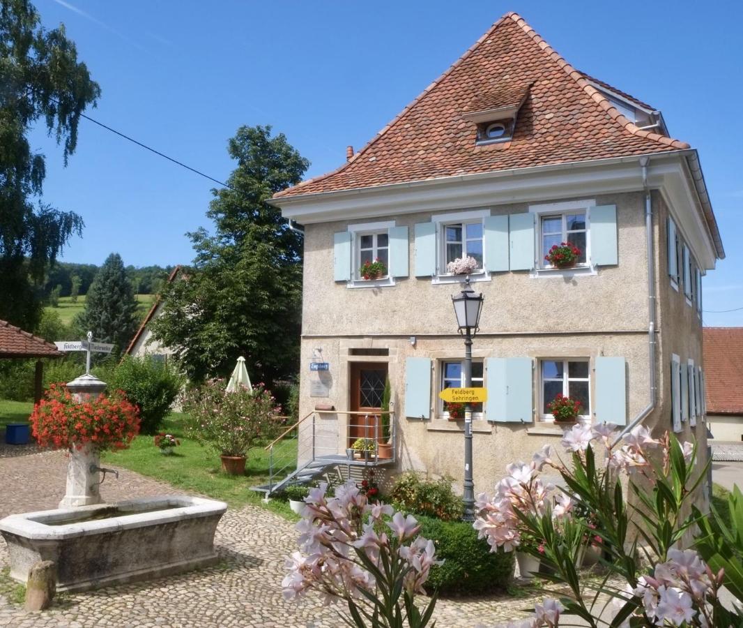 Ferienhaus Zur Alten Dame Badenweiler Dış mekan fotoğraf