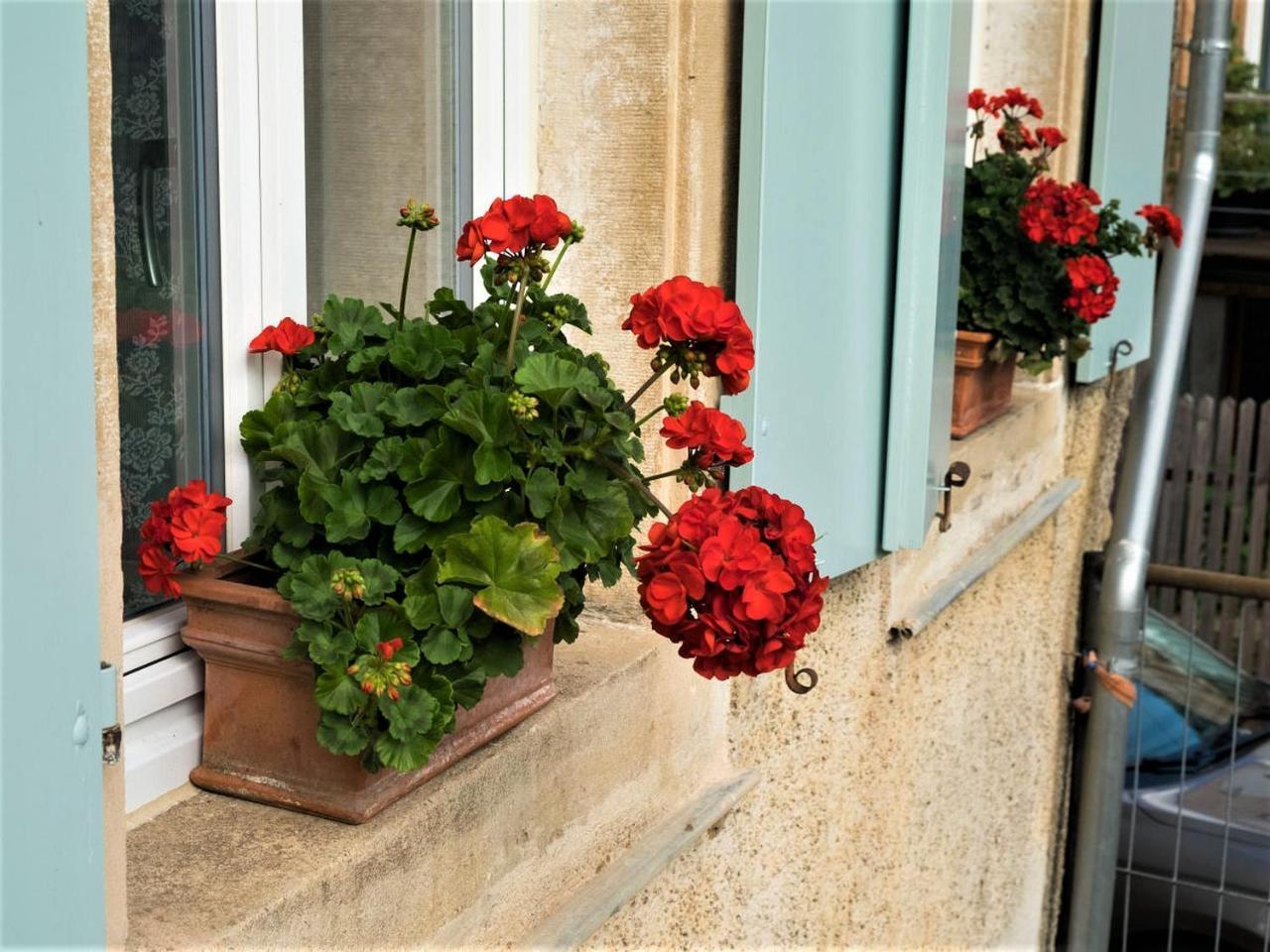 Ferienhaus Zur Alten Dame Badenweiler Dış mekan fotoğraf